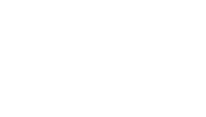 bema logo weiß
